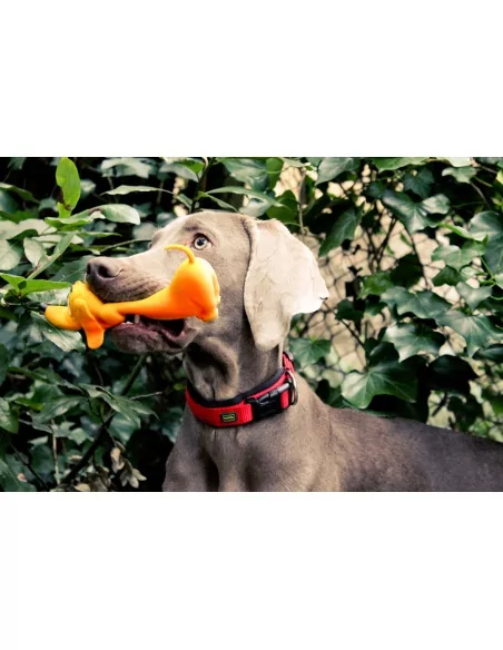 Lanco pets - Hračka pro psy - Aportovací hračka pejsek Lanco pets - Hračka pro psy - Aportovací hračka pejsek