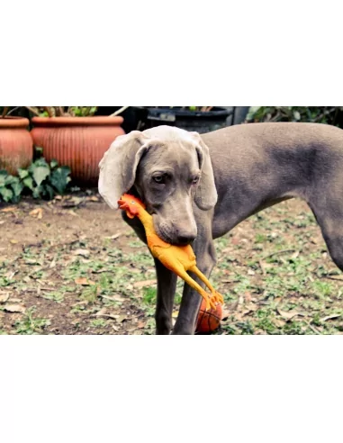 Lanco Pets - Hračka pro psy - Pískací kuře midi
