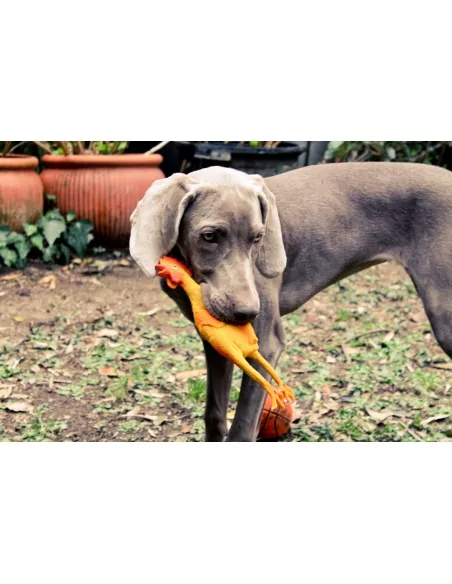 Lanco Pets - Hračka pro psy - Pískací kuře midi Lanco Pets - Hračka pro psy - Pískací kuře midi