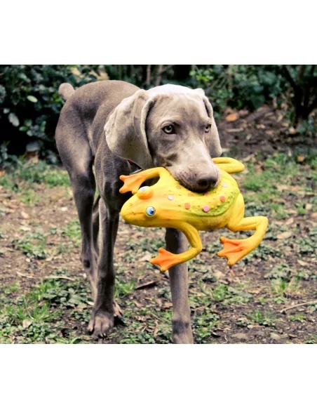 Lanco Pets - Hračka pro psy - Aportovací hračka žába velká | www.prvnihracky.cz Lanco Pets - Hračka pro psy - Aportovací hračka žába velká | www.prvnihracky.cz