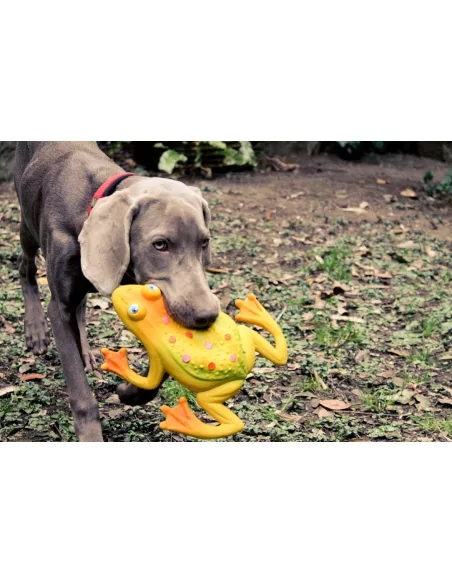 Lanco Pets - Hračka pro psy - Aportovací hračka žába velká | www.prvnihracky.cz Lanco Pets - Hračka pro psy - Aportovací hračka žába velká | www.prvnihracky.cz