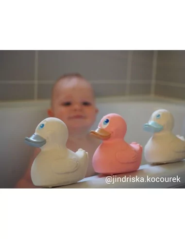 Lanco - Kačenka s fialovým zobáčkem