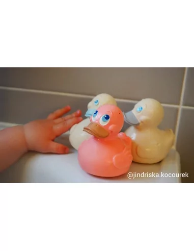 Lanco - Kačenka s fialovým zobáčkem