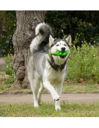 Lanco Pets - Hračka pro psy - Dentální hračka krokodýl