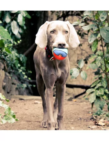 Lanco Pets - Hračka pro psy - Basketbalový míč barevný