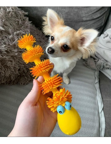 Lanco Pets - Hračka pro psy - Dentální hračka housenka