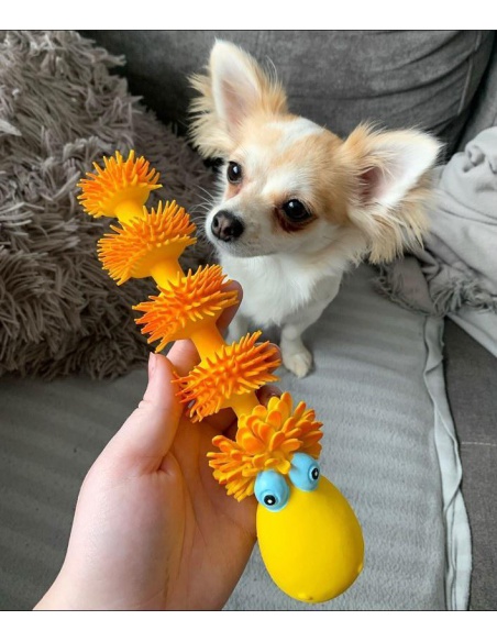 Lanco Pets - Hračka pro psy - Dentální hračka housenka Lanco Pets - Hračka pro psy - Dentální hračka housenka