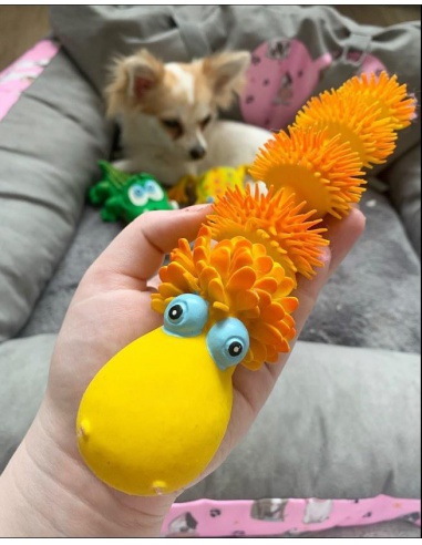 Lanco Pets - Hračka pro psy - Dentální hračka housenka